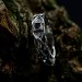 Gothic Silver Ring Embellished with Blood Red Garne