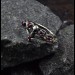 Gothic Silver Ring with Ruby-Studded Cross Design