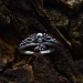 Heir of Twilight: Gothic Sterling Silver Ring with Amethyst Accents