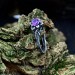 Gothic Amethyst Ring with Intricate Floral Design