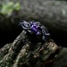 Whisper of Vines: Gothic Sterling Silver Ring with Amethyst Accent