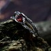 Fiery Gothic Ring with Garnet and Dark Claw Setting