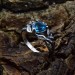 Elegant Blue Topaz Gothic Silver Ring