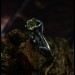 Forest's Embrace: Gothic Sterling Silver Ring with an Enchanted Olivine