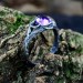 Gothic Amethyst Ring with Enchanted Floral Motif