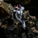 Gothic Dragon Ring with Garnet Gemstone