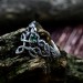 Gothic Celtic Silver Ring with Emerald Centerpiece