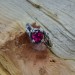 Gothic Ruby Ring with Enchanted Floral Motif