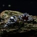 Dark Gothic Silver Ring with Skull and Garnet
