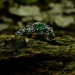 Throne of Vines: Gothic Sterling Silver Ring with a Radiant Emerald