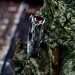 Fiery Gothic Ring with Garnet and Dark Claw Setting