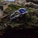 Delicate Silver Band Featuring a Blue Sapphire Gemstone