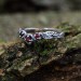 Twins of Flame: Gothic Sterling Silver Ring with Garnet Gems