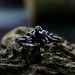 Gothic Silver Ring with a Bold Black Onyx