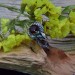 Gothic Garnet Ring with Floral Elegance