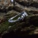 Intricate Twisted Silver Ring with Nature-Inspired Vine Design