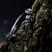 Delicate Braided Twig Engagement Ring – Nature Floral Oxidized Emerald Wedding Jewelry