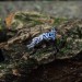 Delicate Silver Band with Twisting Aquamarines