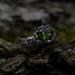 Unique Silver Ring with Vibrant Green Peridot Gemstone