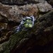 Gothic Silver Ring with a Vibrant Olivine Gemstone