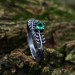 Forest Crown: Gothic Sterling Silver Ring with Emerald Gemstone