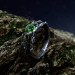 Gothic Silver Ring with Emerald and Branch Design