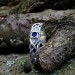 Celtic-Inspired Gothic Ring with Sapphire