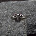 Gothic Silver Ring with Skull and Ruby Design