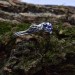 Waves of Midnight: Gothic Sterling Silver Ring with Sapphires