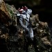 Silver Ring with Dragon Claw and Garnet Design