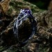 Handcrafted Silver Ring with Twisted Branch Motif and Amethyst | Fantasy Forest Witchy Wedding Band, Estate Jewelry for Women