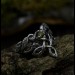 Forest Chevron Twig and Leaf Ring with Peridot for Engagement