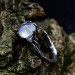 Gothic Silver Ring with Mystical Moonstone
