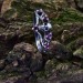 Crown of Shadows: Gothic Sterling Silver Ring with Skull and Amethysts