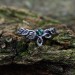 Vine of Enchantment: Gothic Sterling Silver Ring with Emerald Accent