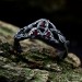 Vine of Passion: Gothic Sterling Silver Ring with Garnet Gems