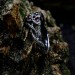 Vine of Passion: Gothic Sterling Silver Ring with Garnet Gems