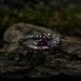 Delicate Gothic Ring with Ruby and Leaf Design
