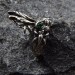 Gothic Emerald Ring with Enchanted Flame Motif