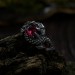 Ruby Gothic Dragon Ring with Bold and Mystical Design