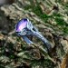 Gothic Amethyst Ring with Enchanted Floral Motif