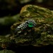 Gothic Emerald Ring with Intricate Leaf and Vine Design