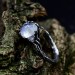 Celestial Bloom: Sterling Silver Ring with a Radiant Moonstone