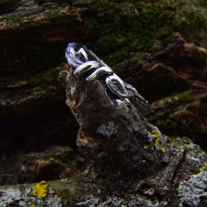 Intricate Twisted Silver Ring with Nature-Inspired Vine Design