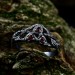 Vine of Passion: Gothic Sterling Silver Ring with Garnet Gems