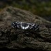 Crescent Moon Gothic Ring with Intricate Woven Band