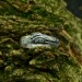Gothic Dragon Scale Ring with Bold Elegance