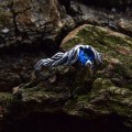 Gothic Silver Ring with Mesmerizing Blue Aquamarine