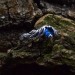 Gothic Silver Ring with Mesmerizing Blue Aquamarine