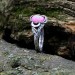 Exquisite Pink Gemstone Silver Ring